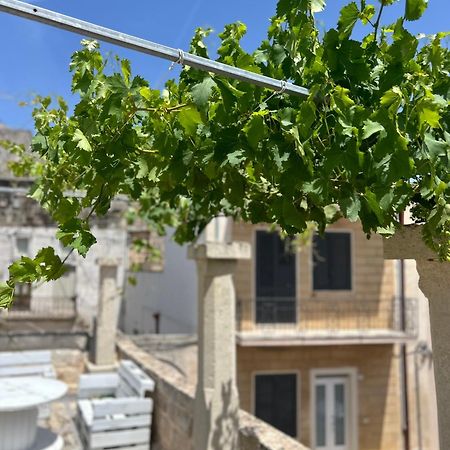 Cannole Corte Cochlea المظهر الخارجي الصورة